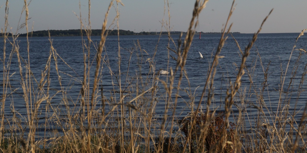 SUNDHAVEN
